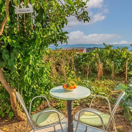 Maestral * Макарска